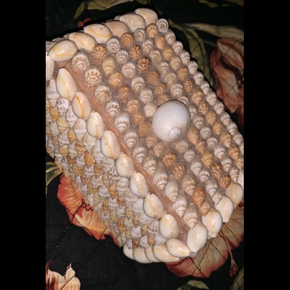 Seashell jewelry box